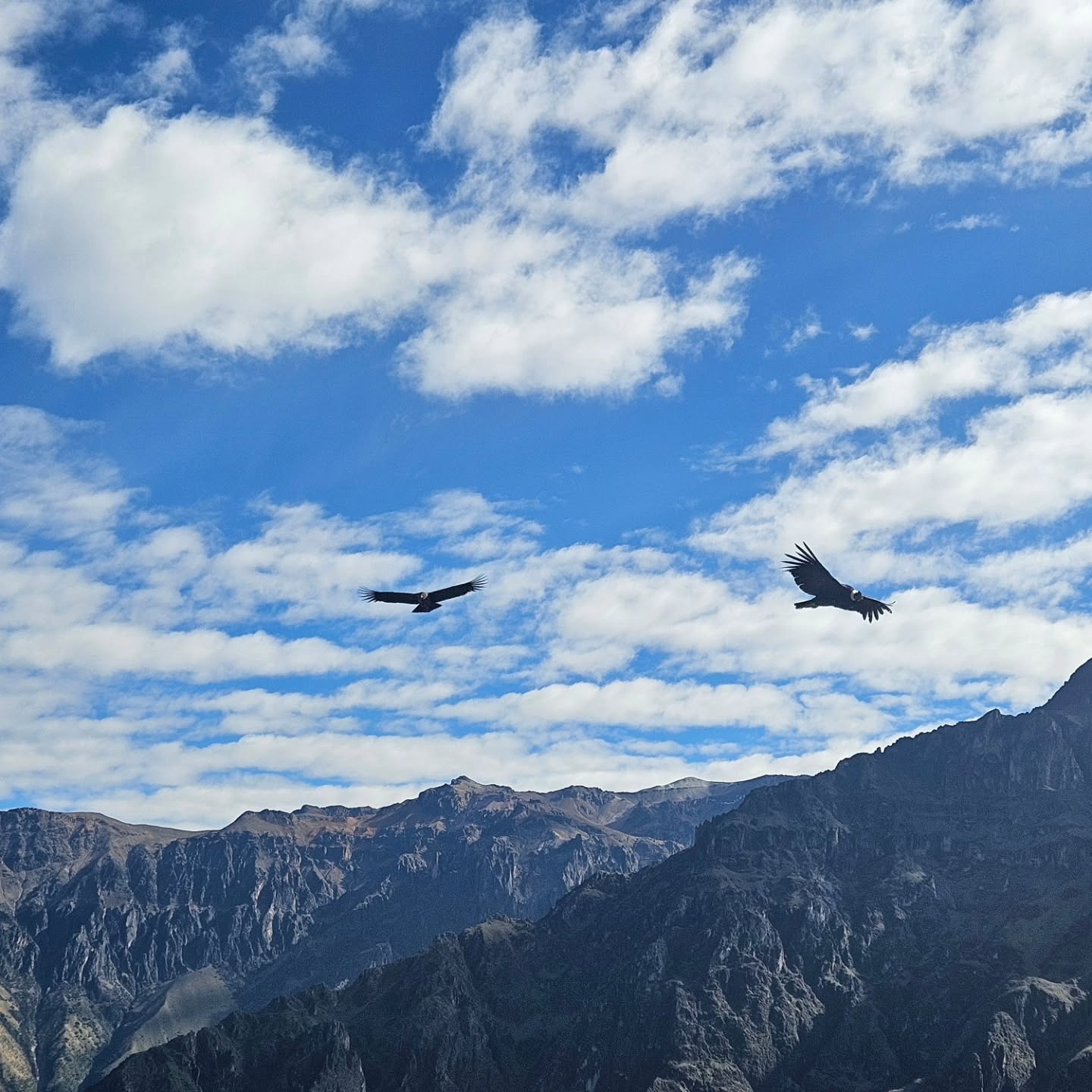 Colca Canyon Ansicht
